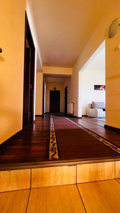 Casa Vio Timişoara