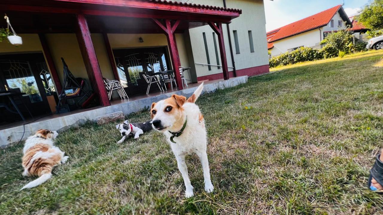 Casa Vio Villa *