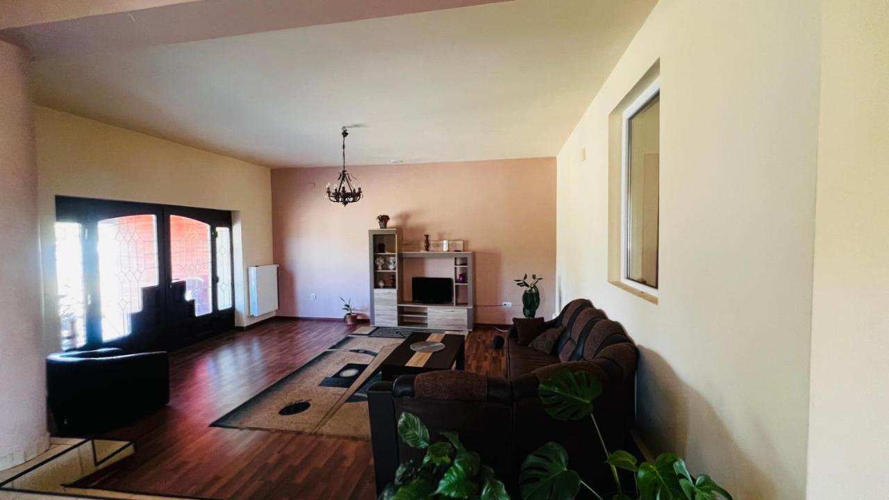 Casa Vio Villa Timisoara